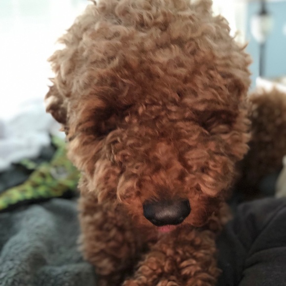 Meet your Posher, Andrea - Picture 5 of 5